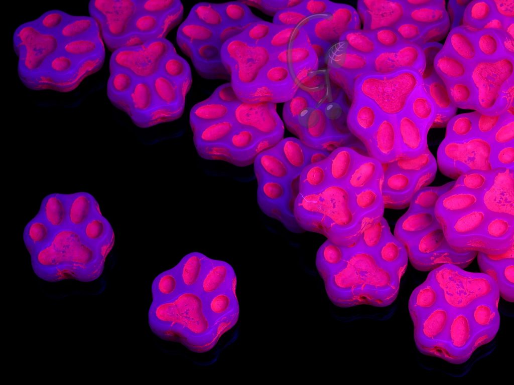 Намистини Котячі лапки 13 мм Alabaster Glowing Pink Finish (світяться в ультрафіолеті)