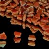 2-hole Bell Chalk White Full Apricot Medium