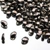 Tulip Petals Jet Argentic Full