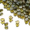 Ginkgo Bead Olivine Rembrandt