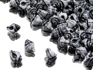 Murex Shell Beads Chalk Black Wash